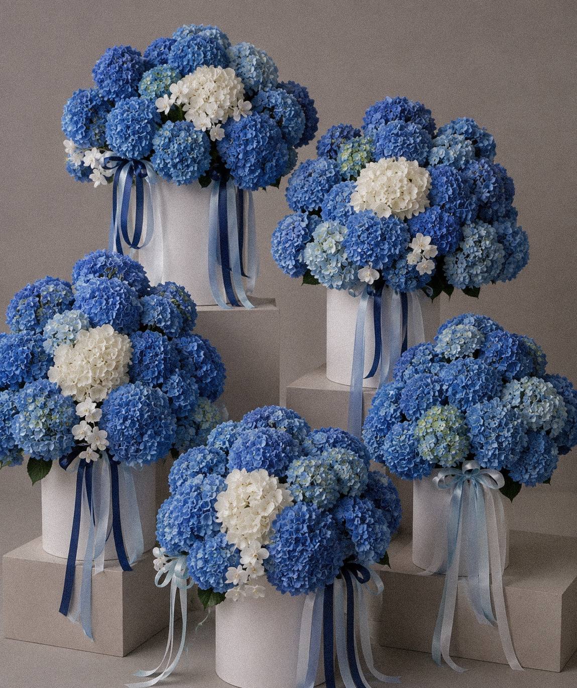 The Grand Hydrangea Set