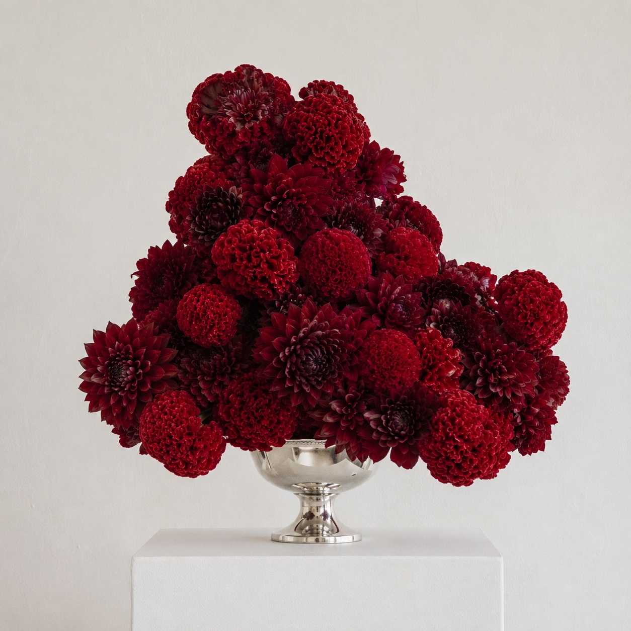 The Scarlet